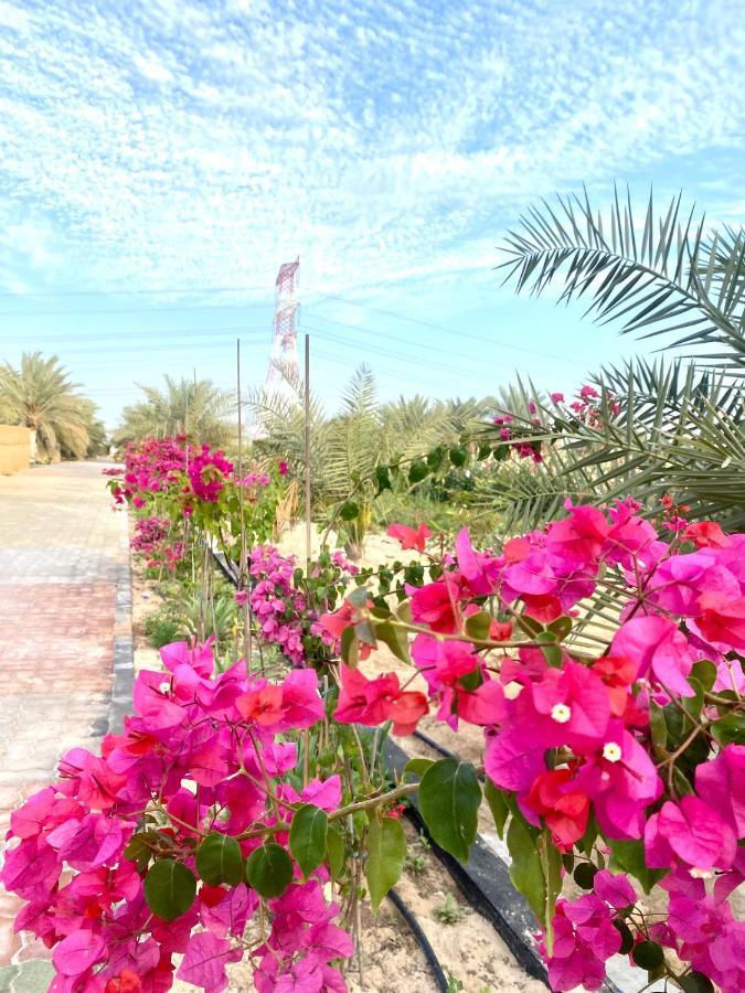 Holiday home Luxury Farm With Swimming Pool And Bbq Al Rahba